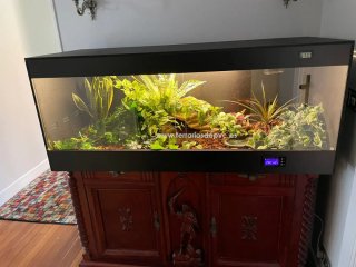 Terrario nuevo PVC para reptiles