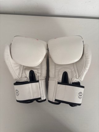 Guantes Fairtex 14oz Hechos en Tailandia