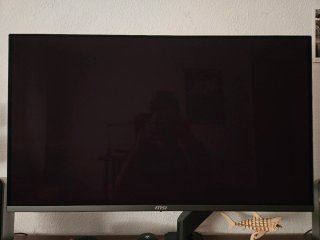 Monitor MSI 321URX QD-OLED