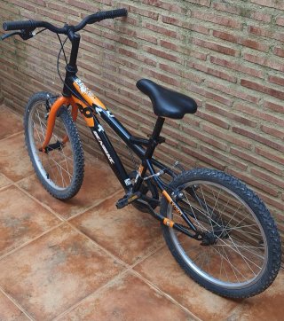 Bicicleta infantil 20 DENBIKE