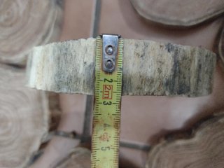 9 Rodajas secas 100% de madera blanca