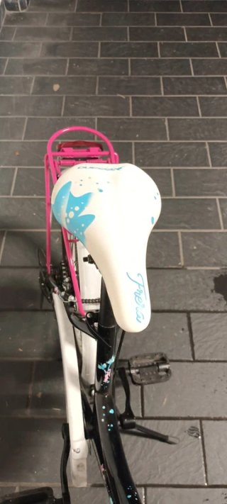 Bici Bambina Frera 20" Cambio 6 Velocità.