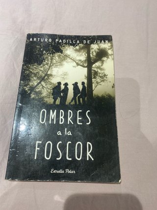 Ombres a la foscor