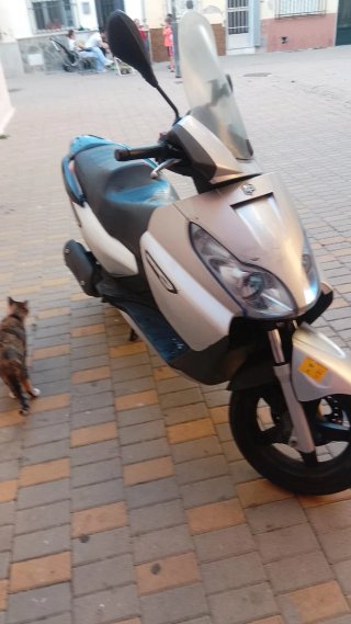 Moto Scooter Pelayo 2010 Plata/Negra