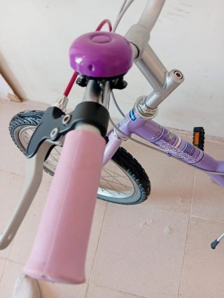 Bicicleta Morada Infantil niña 20 pulgadas