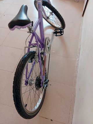 Bicicleta Morada Infantil niña 20 pulgadas