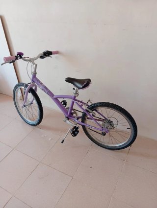Bicicleta Morada Infantil niña 20 pulgadas