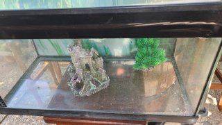 Acuario con decoración 37,5L