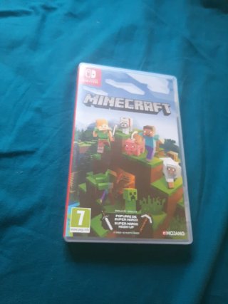 Minecraft Nintendo Switch