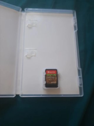 Minecraft Nintendo Switch