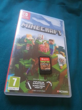 Minecraft Nintendo Switch