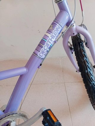 Bicicleta Morada Infantil niña 20 pulgadas