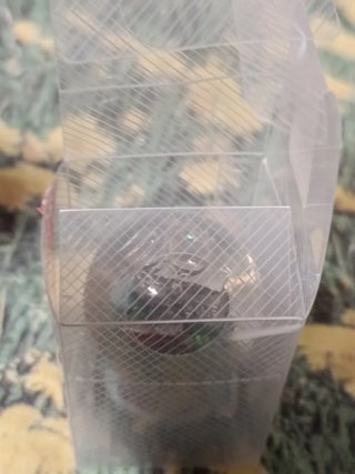Palla di vetro souvenir Hong Kong