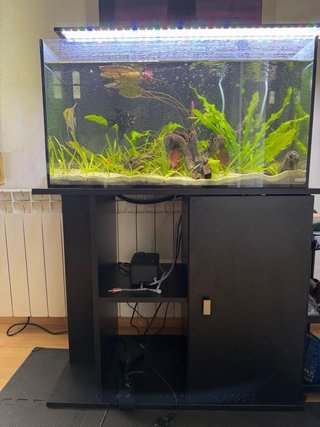 Acuario 100 litros + mesa