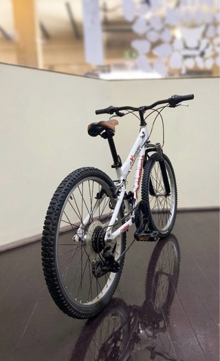 Bicicleta Orbea eXtreme 24