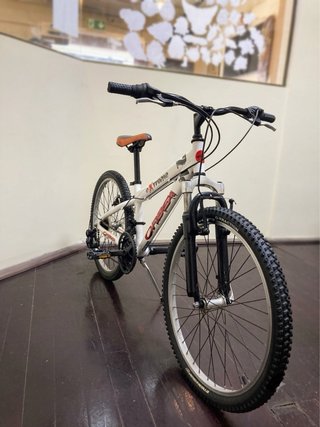 Bicicleta Orbea eXtreme 24