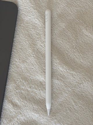 Apple Pencil Blanco