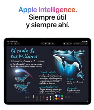 iPad Air 13 WIFI+CELLULAR 512 GB GRIS ESPACIAL