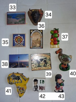 calamite souvenir