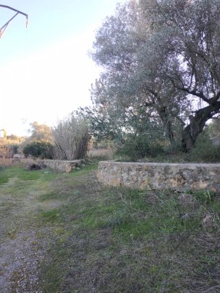 Terreno rustico en Artana