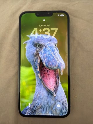 iPhone 13 Pro Verde 256GB