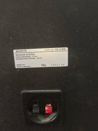 Altavoces Sony SS-A 309 100W