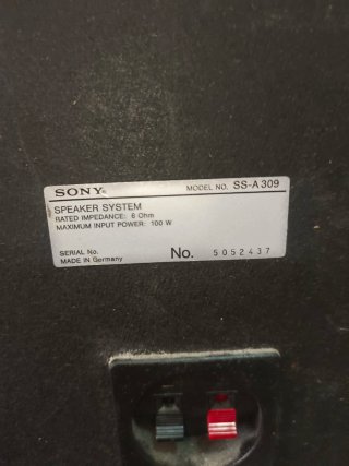 Altavoces Sony SS-A 309 100W