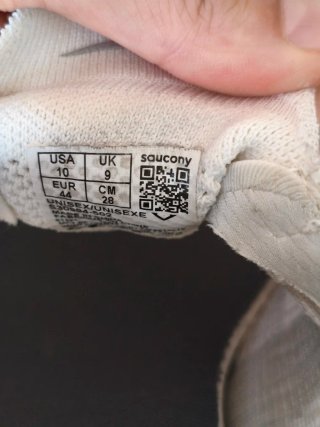 Saucony Endorphin Elite 2 Talla 44