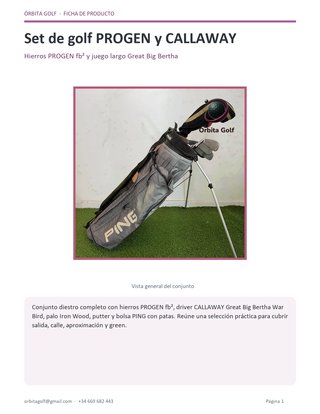 Set de Palos de Golf PROGEN y CALLAWAY