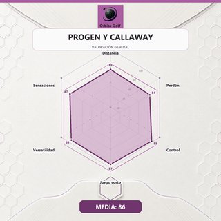Set de Palos de Golf PROGEN y CALLAWAY