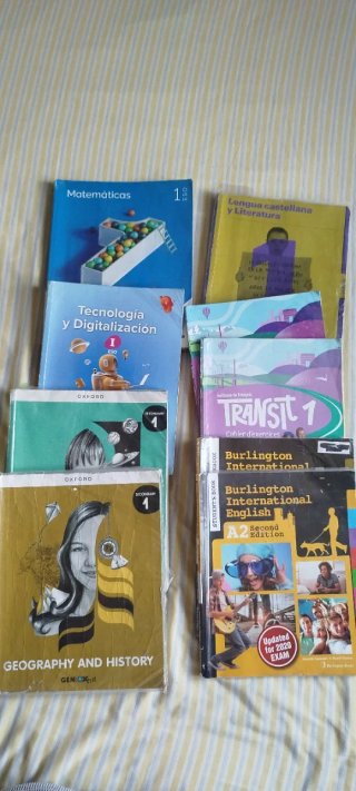 Lote de libros 1° ESO British Alonso Berruguete