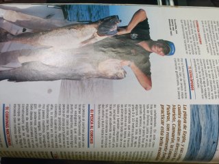 Revistas Pesca MAR (Lote)