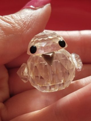 Pulcino Swarovski