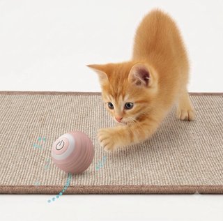 Set Cepillos para Mascotas + Pelota Interactiva