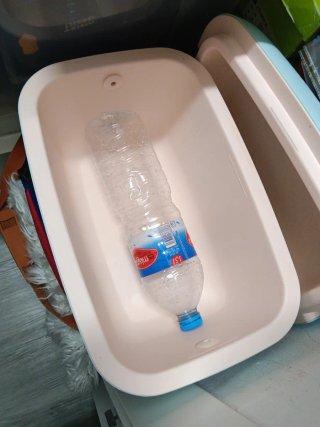 Nevera Polarbox Retro Cooler