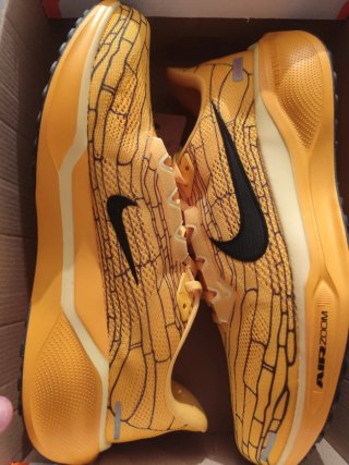 Nike Pegasus 41 Talla 45.5