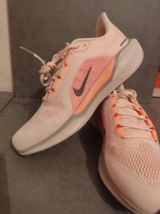 Nike Pegasus 41 Talla 42