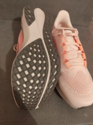 Nike Pegasus 41 Talla 42