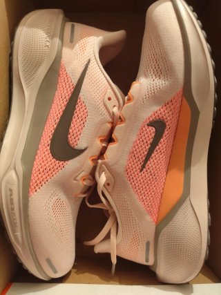 Nike Pegasus 41 Talla 42