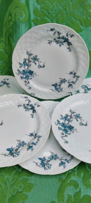 Vajilla Antigua Porcelana B&C Limoges