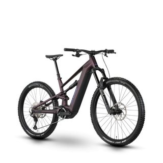 Bicicleta ebike Raymon Ravor Comp