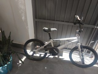 Bicicleta Acción Screec XR