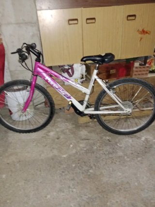 Bicicleta Montaña Rosa y Blanca