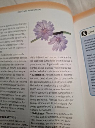 Guia Practica de Las Medicinas Alternativas