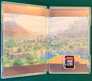 Zelda: Echoes of Wisdom Switch