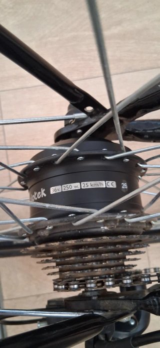 Bicicleta Eléctrica Paseo Adaptada