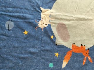 Toalla El Principito Le Petit Prince