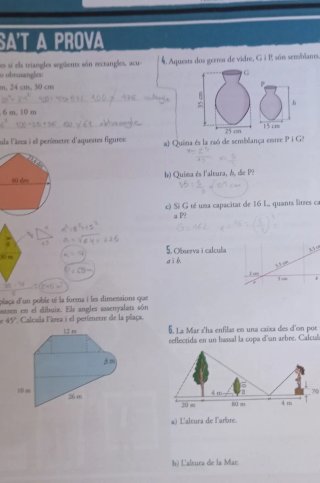 Matemàtiques, 2 ESO, Programa Sophie Germain Do...