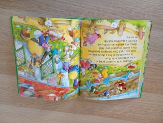 Llibre infantil