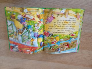Llibre infantil